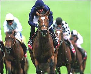 Mick Kinane on Galileo in 2001