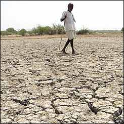 A villager walks on dried field in Mungode village, Andhra Pradesh
