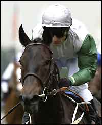 Kevin Darley rides Attraction to glory at Ascot