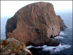 Sheep Rock, Fair Isle - Photo: David Wheeler