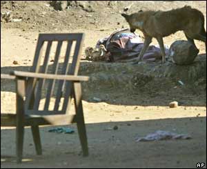Deserted home in Bunia