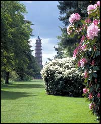 The Pagoda in the spring