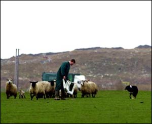 Farm in Lincolnshire