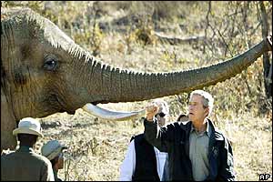 President Bush and an elephant