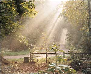Fleet pond by Terry Johnson