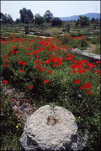 The Leonidaion at the site of the Ancient Olympic Games in Olympia, Greece