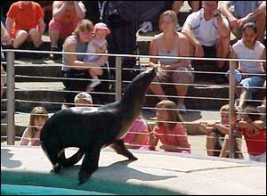 Photo by Jenny Saville