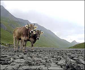 Dried-up Swiss mountain lake at Albula