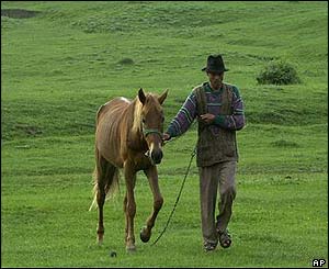 A Roma man leads his horse to pasture