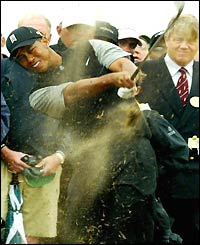 Woods in a cloud of dust