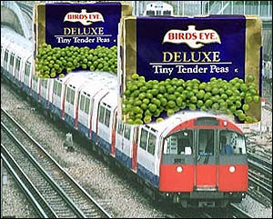 Omri Stephenson, peas