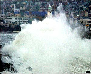 Wave hits a harbour shelter in Busan