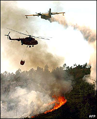 Helicopter and firefighting plane spray water on fire in Castelo Branco, Portugal