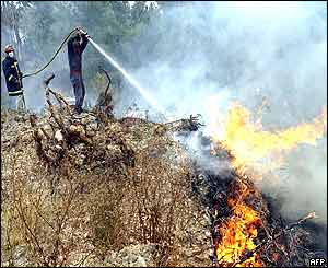 Firefighters with hoses pour water on flames in fire in Vila do Rei, central Portugal