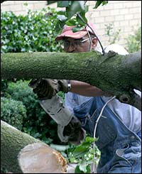 John Turner saws through a fallen tree on L Street NW
