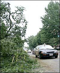 Cabs pass downed trees on Connecticut Avenue