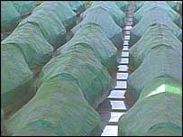 Coffins at Srebrenica