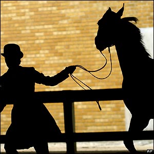 Taylor Windle and Albelarn Tiger Woods in action