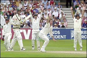 England's James Kirtley appeals successfully for the wicket of Graeme Smith 