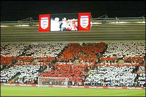 England fans display the cross of St George at Southampton's St Mary's stadium