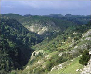 Dovedale - copyright Peak District National Park Authority