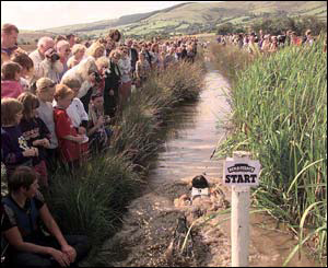 crowds watching competitors