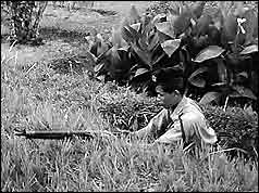 Soldier with rifle hiding in long grass