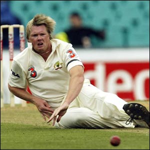 Brad Williams of Australia dives after a drive from Mark Vermeulen of Zimbabwe during day one of the second Test 