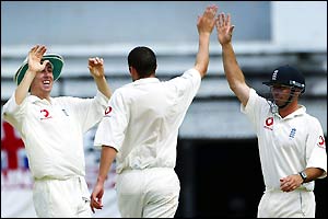 England's Steve Harmison is congratulated after taking the wicket of Rajin Saleh 