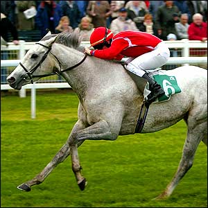 Sam Hitchcott on In The Pink races home to win the Great Yarmouth and Caister Golf Club Maiden Stakes 