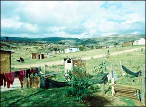 Joza township