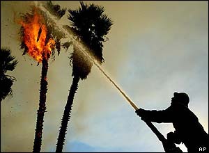 Extinguishing fire in a palm tree in Burbank, California