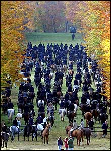 Beaufort Hunt