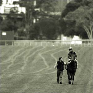 Hugs Dancer walks the back straight at Sandown racecourse in Melbourne with trainer James Given
