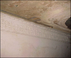 The cornice in the dining room still sports its original rose design