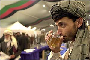 Delegate the loya jirga