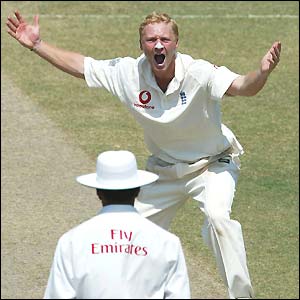 England spinner Gareth Batty appeals in vain for a wicket