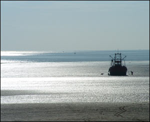 Peter Taylor from Morriston sent in this picture of Swansea Bay