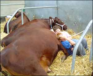 Jackie Morgan from Barry spotted these two taking a break at the Royal Welsh Show