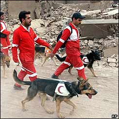 Iranian Red Crescent members take their dogs through the rubble of Bam
