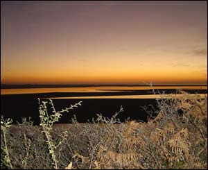 Gareth Gwyn, from Taiwan, sent this picture of the estuary at Portmeirion