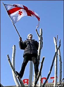 A supporter climbs a tree to watch the inauguration of Mikhail Saakashvili