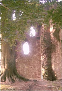 J Burgess from Pontypool took this shot at Abergavenny Castle