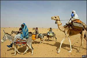 Refugees on donkey and camels