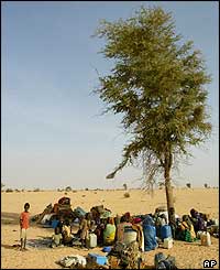 Refugees and their bags under a tree