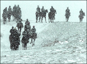 Middleham moor gallops