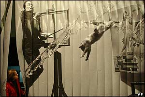 Installation in exhibition 