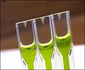 Samples from (l-r) Derbyshire, Leicestershire and Nottinghamshire