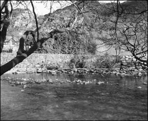 The river at Beddgellert, as sent by Pat Corke from Tregarth 