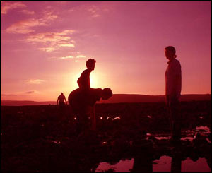 Paul Lismer took this picture of his friends while on a camping trip to Ferryside in Carmarthenshire